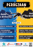 Perbezaan Antara Aedes Tanpa Wolbachia dan Aedes Berwolbachia